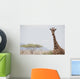 Giraffe In Samburu National Reserve Wall Mural