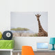 Giraffe In Samburu National Reserve Wall Mural