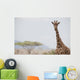 Giraffe In Samburu National Reserve Wall Mural