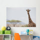 Giraffe In Samburu National Reserve Wall Mural