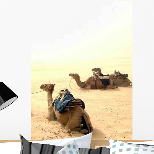 Camels Rest Wall Decal