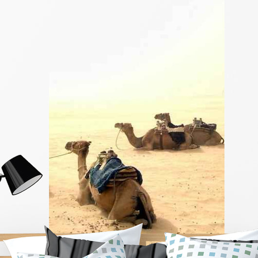 Camels Rest Wall Decal