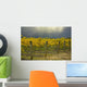 Vineyard Wall Mural