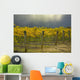 Vineyard Wall Mural