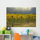 Vineyard Wall Mural