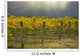 Vineyard Wall Mural