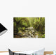 Creek Running Through The Rainforest, Victoria, Australia Wall Mural