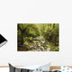Creek Running Through The Rainforest, Victoria, Australia Wall Mural