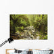 Creek Running Through The Rainforest, Victoria, Australia Wall Mural