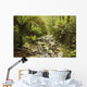 Creek Running Through The Rainforest, Victoria, Australia Wall Mural