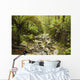 Creek Running Through The Rainforest, Victoria, Australia Wall Mural