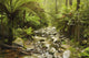 Creek Running Through The Rainforest, Victoria, Australia Wall Mural