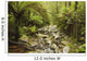 Creek Running Through The Rainforest, Victoria, Australia Wall Mural