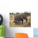 Mother And Baby Elephant Wall Mural