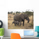 Mother And Baby Elephant Wall Mural