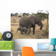 Mother And Baby Elephant Wall Mural