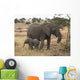 Mother And Baby Elephant Wall Mural