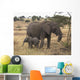 Mother And Baby Elephant Wall Mural