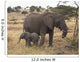 Mother And Baby Elephant Wall Mural
