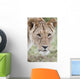 Lioness Wall Mural