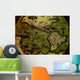 1500 Ca Royalty Free Wall Mural
