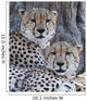 Cheetahs Wall Mural