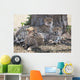 Leopards, Kenya, Africa Wall Mural