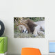 Lion Wall Mural