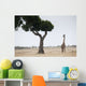 Giraffe, Kenya, Africa Wall Mural