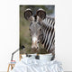 Zebra, Kenya, Africa Wall Mural