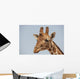 Giraffe Wall Mural