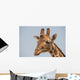 Giraffe Wall Mural