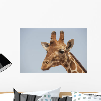 Giraffe Wall Mural shown on a wall