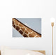 Giraffe's Neck, Kenya, Africa Wall Mural