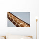 Giraffe's Neck, Kenya, Africa Wall Mural