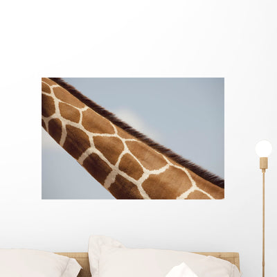 Giraffe's Neck Kenya Africa Wall Mural shown on a wall