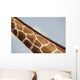Giraffe's Neck, Kenya, Africa Wall Mural