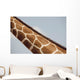 Giraffe's Neck, Kenya, Africa Wall Mural