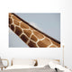 Giraffe's Neck, Kenya, Africa Wall Mural