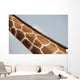 Giraffe's Neck, Kenya, Africa Wall Mural