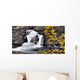 Waterfall, Banff, Alberta Wall Mural