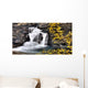 Waterfall, Banff, Alberta Wall Mural