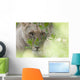 Lioness, Kenya, Africa Wall Mural