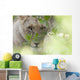 Lioness, Kenya, Africa Wall Mural