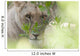 Lioness, Kenya, Africa Wall Mural