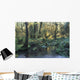Pool In Temperate Rainforest Stream Wall Mural