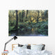 Pool In Temperate Rainforest Stream Wall Mural