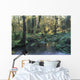 Pool In Temperate Rainforest Stream Wall Mural