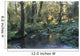 Pool In Temperate Rainforest Stream Wall Mural