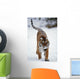 Siberian Tiger In Snow Wall Mural